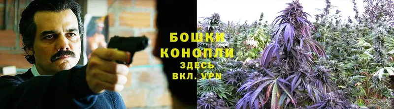 Шишки марихуана SATIVA & INDICA  Жердевка 